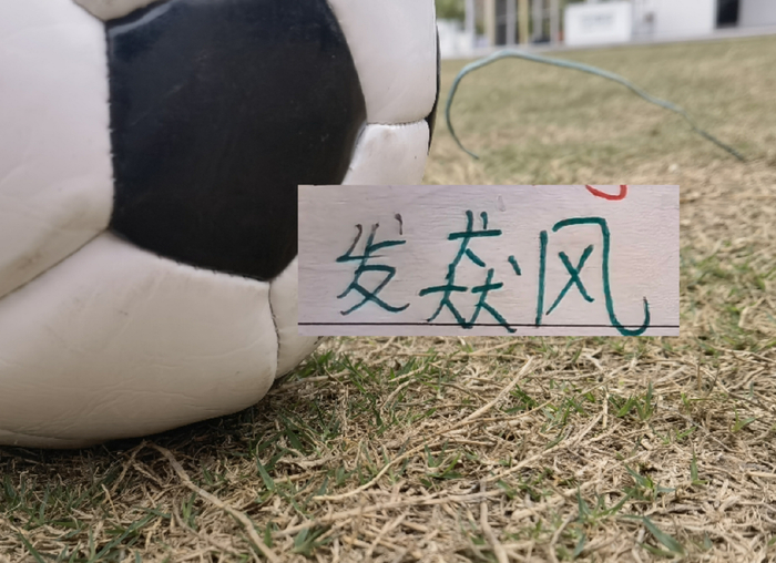 申花客场迎战国安 马宁主裁引关注 特谢拉黄牌风